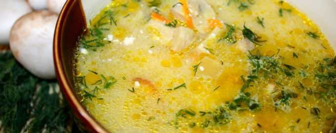 Грибной суп с сыром в мультиварке шампиньоны рецепт с фото