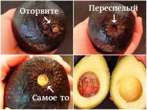Как понять, что авокадо спелый по хвостику