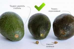 Три степени зрелости авокадо