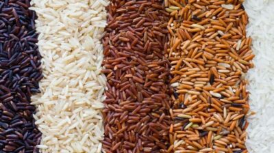 Разновидность риса