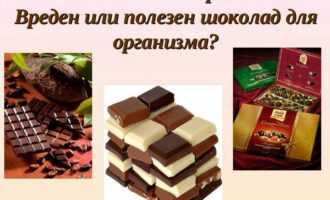 Шоколад польза и вред для организма человека