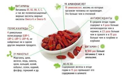 Витамины в ягодах годжи