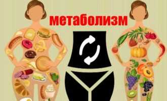 Как ускорить метаболизм в организме человека